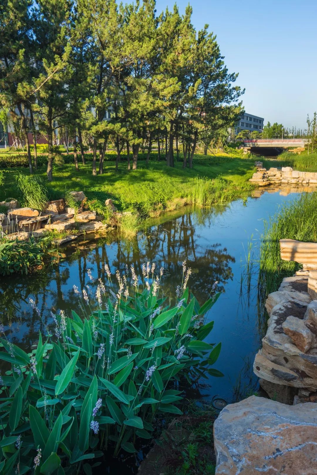 威海市职业中等专业学校_瑞安市职业中等专业教育集团学校_威海职业中等专业学校地址