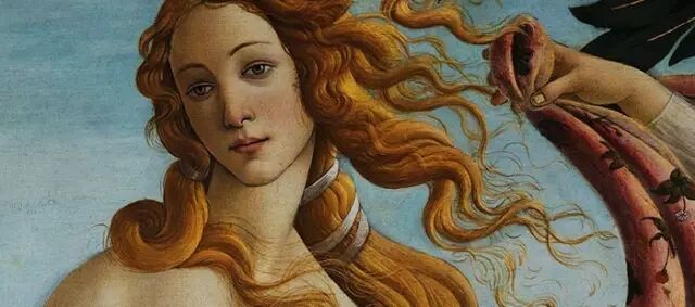 vis是维纳斯venus的简写,是胶原女神的意思,据说维纳斯就是从海上浪花