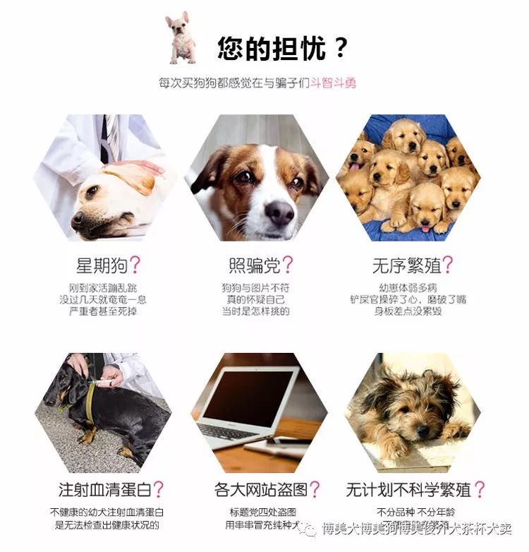 Tlc官网 分享我认为好用的文字类app