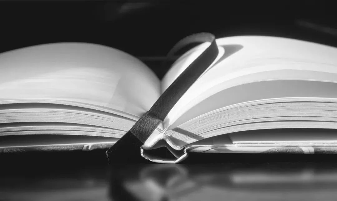 羽加立怎么读 羽戈：一生要读几多书？