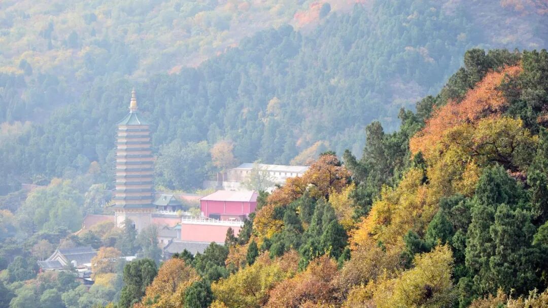 安化黑茶文化周：挑担茶叶上北京，五一假期，我们在北京等你