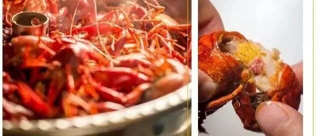 超级福利！濮阳潜江虾客盛大开业！1000份卤虾全城免费送！