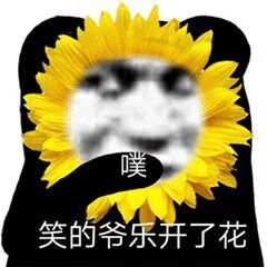 美国大学是什么_umich是美国哪所大学_美国大学都是私立吗