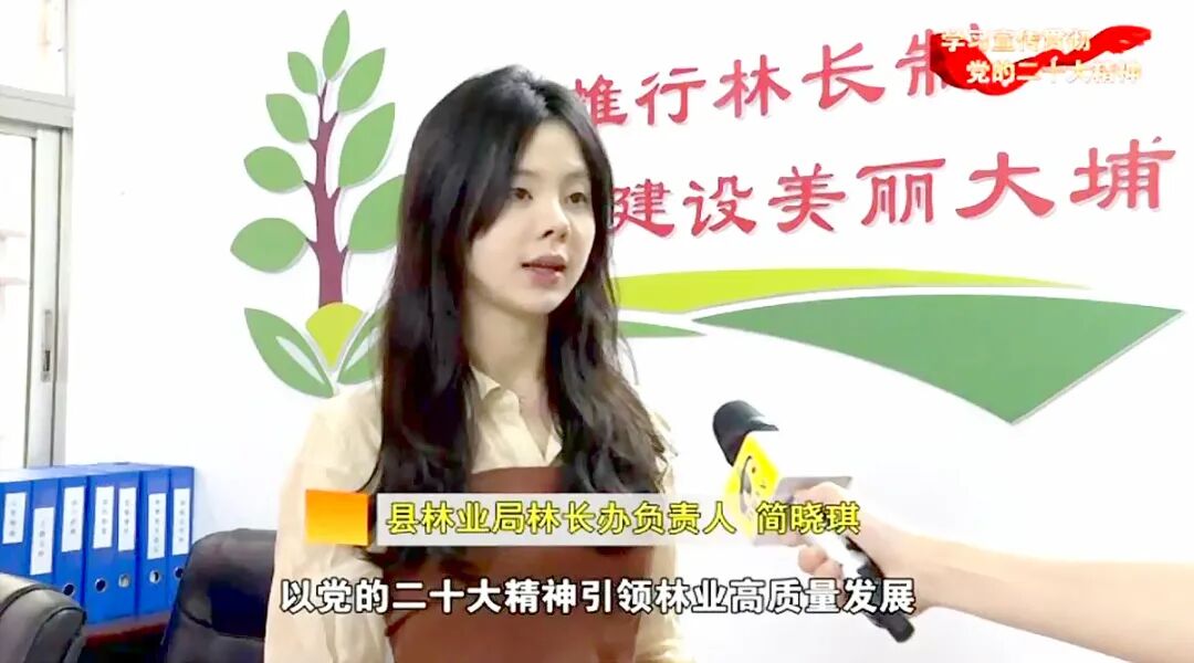 大埔县高陂镇人民政府>工作动态>【采访 县林业局林长办负责人 简晓琪