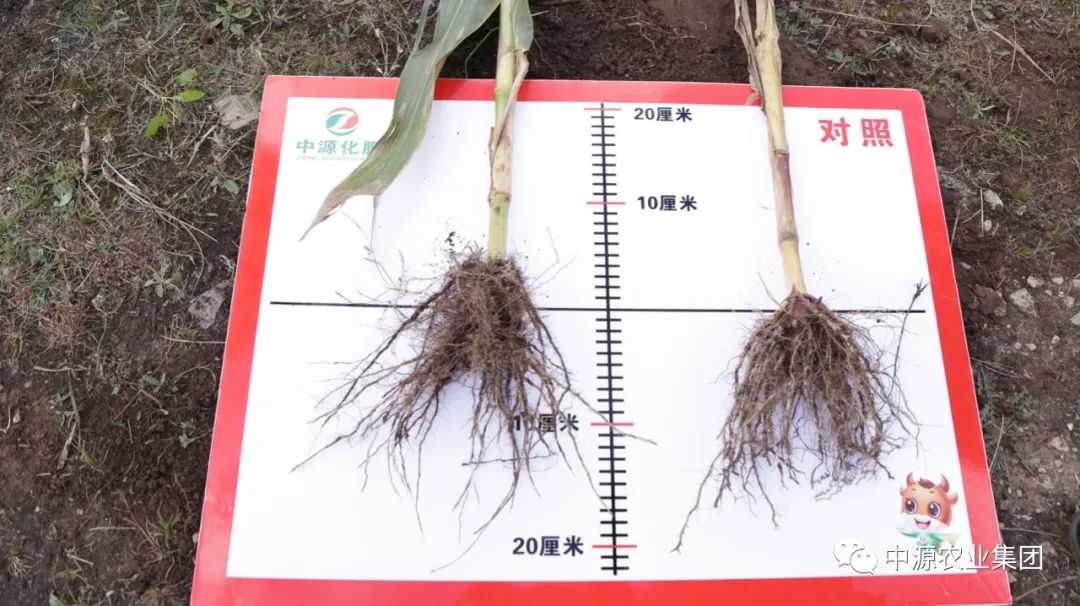 吉林省中源化肥有限公司