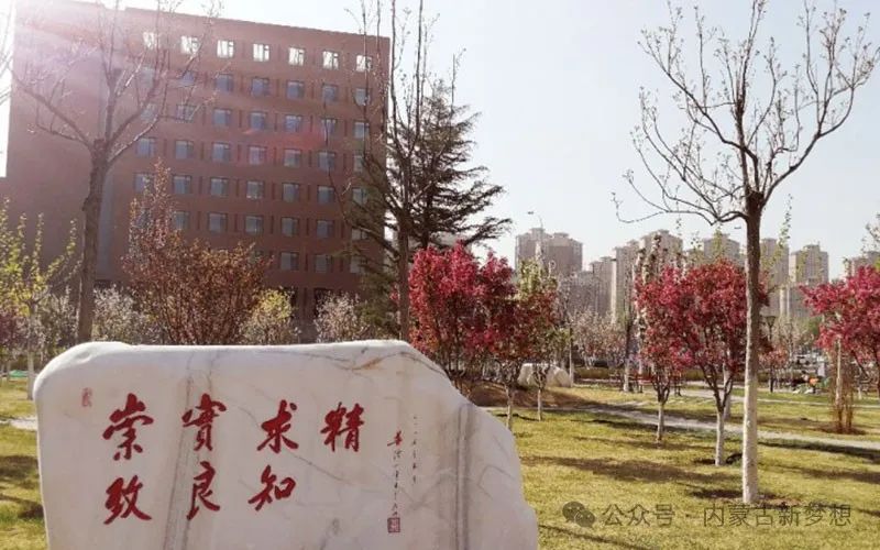 天津中德技術(shù)學(xué)院錄取分?jǐn)?shù)線_天津中德高考錄取分?jǐn)?shù)線_2024年天津中德應(yīng)用技術(shù)大學(xué)錄取分?jǐn)?shù)線(2024各省份錄取分?jǐn)?shù)線及位次排名)