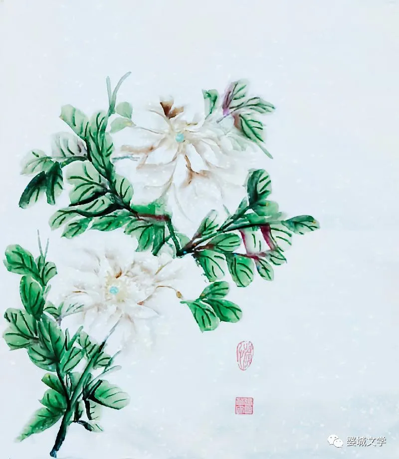 图片
