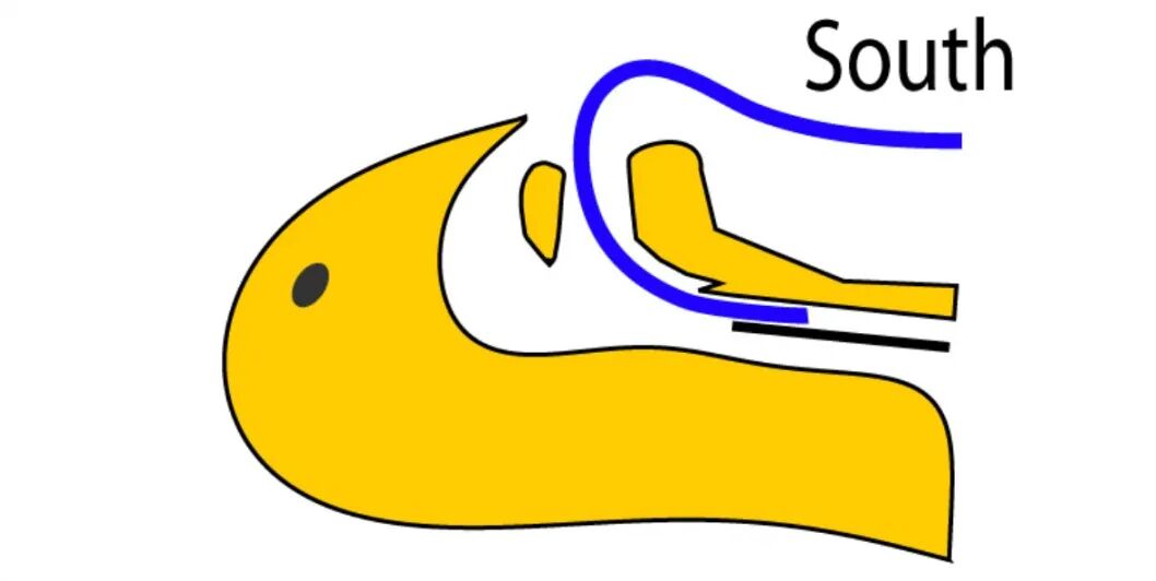 气管插管的管是什么气管插管那些事，一文帮你搞定_https://www.jmylbn.com_新闻资讯_第11张