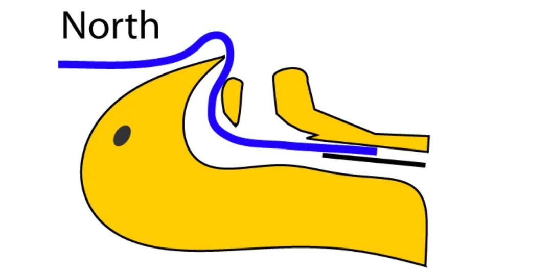 气管插管的管是什么气管插管那些事，一文帮你搞定_https://www.jmylbn.com_新闻资讯_第10张