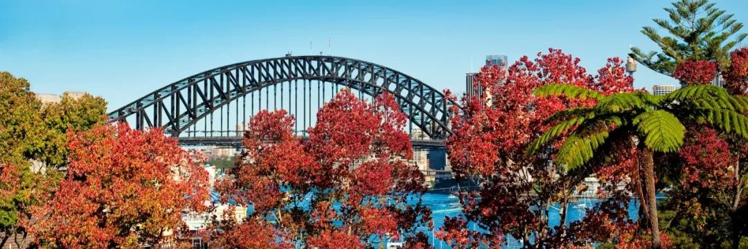 這是上帝的偏愛，秋季最美的國家——澳洲！ 旅遊 第17張