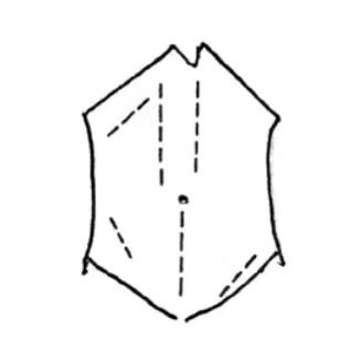 组织钳又叫什么小技巧 ｜｜ 如何把手术切口切得整齐又美观_https://www.jmylbn.com_新闻资讯_第1张