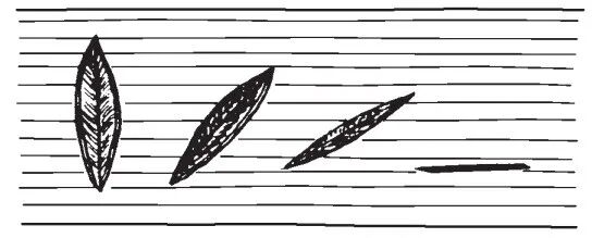 组织钳又叫什么小技巧 ｜｜ 如何把手术切口切得整齐又美观_https://www.jmylbn.com_新闻资讯_第2张