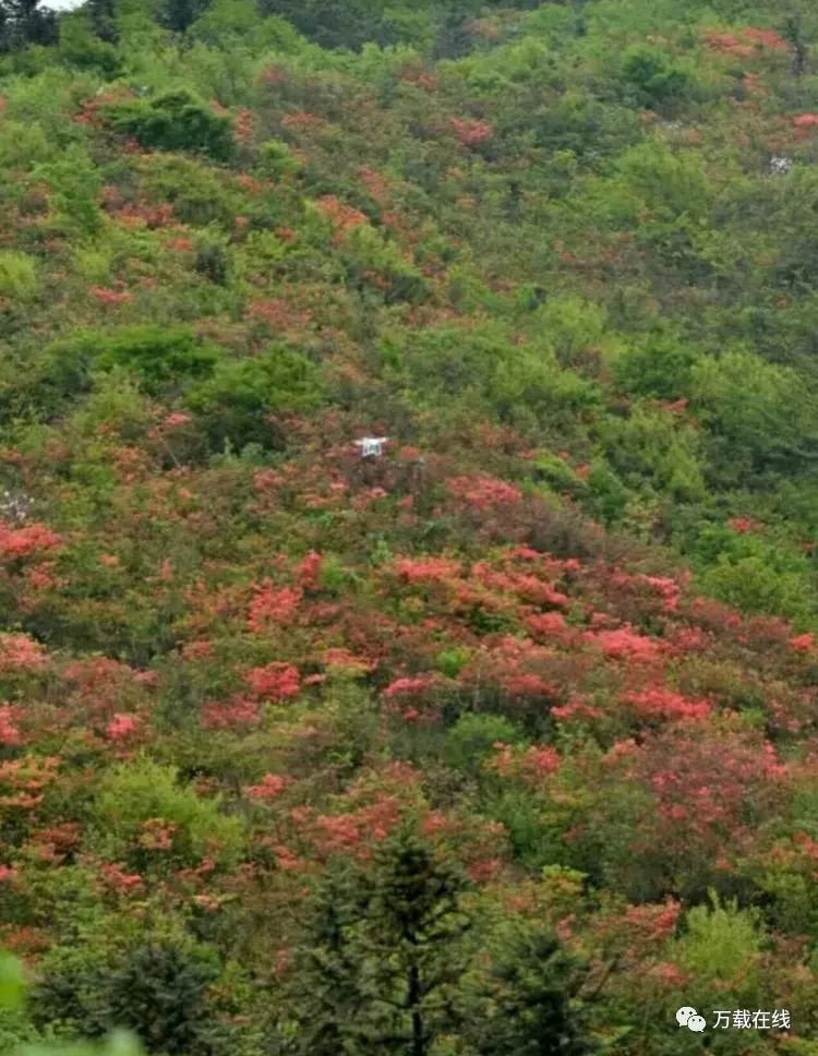 万载仙姑岽图片