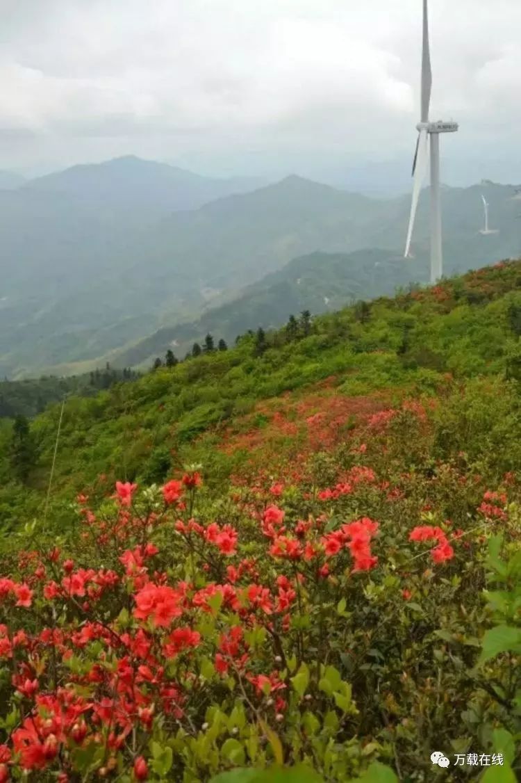 万载仙姑岽图片