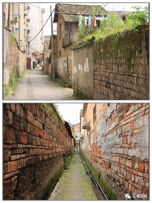 登录查看大图