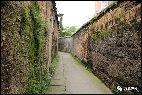 登录查看大图