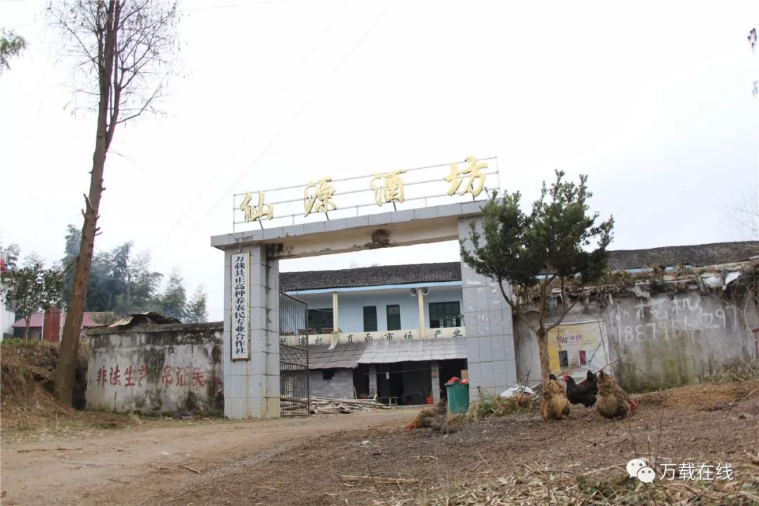 登录查看大图