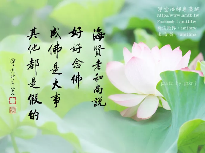 海贤和尚!母亲往生,预知时至,没有病苦! 海贤和尚!母亲往生,预知时至,没有病苦!