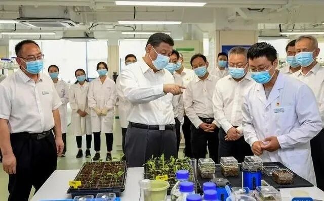 习总书记海南考察：两次提到热作产业发展，强调完善天然橡胶产业扶持政策(图1)