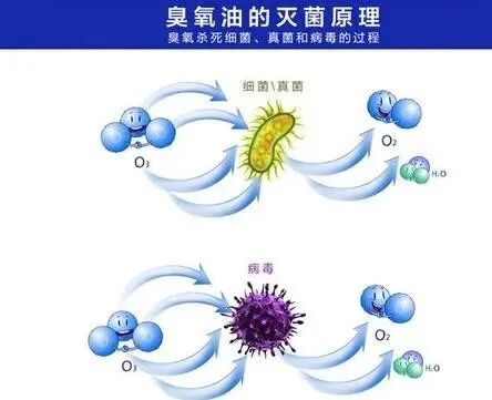 臭氧抑菌油作用是什么臭氧油的诞生开启了以氧治病的时代！_https://www.jmylbn.com_新闻资讯_第8张