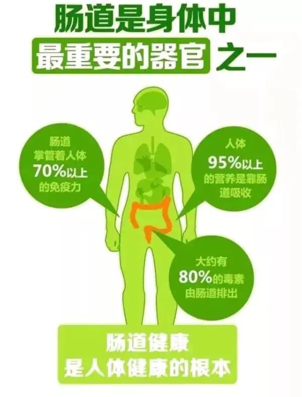 结肠水疗仪怎么用结肠水疗仪——给肠道洗个澡_https://www.jmylbn.com_新闻资讯_第3张