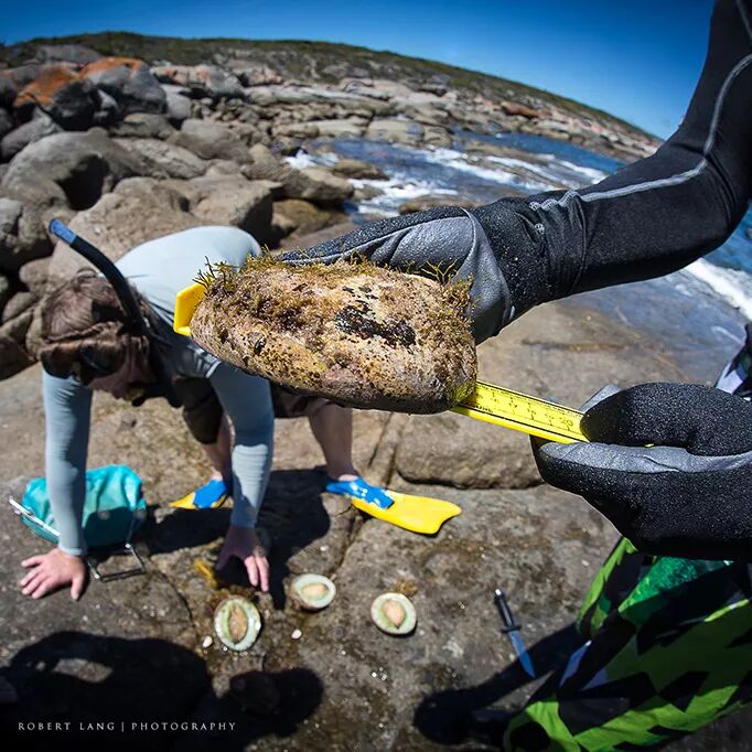 澳洲留学生活到底有多爽? 真实生活写照只有看了才知道！