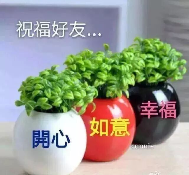 8月13日特别漂亮清晨早安表情动态图片 暖心的早上好问候祝福语 早安心语励志正能量语录 微信公众号文章阅读 Wemp