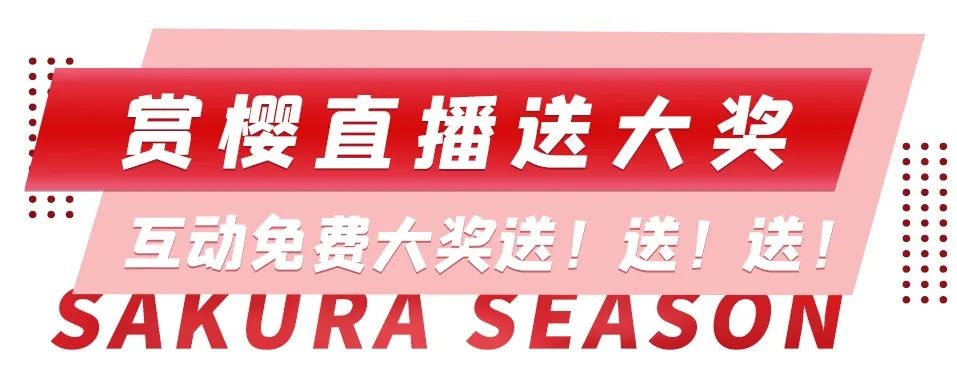 上海周邊櫻花季開幕，雲直播+5萬豪禮，相約醉人花海！ 旅遊 第13張