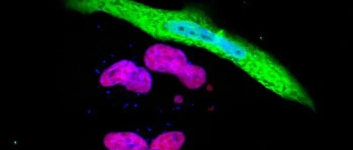 WHO权威发布（2021）：中国高发癌症致癌物质清单