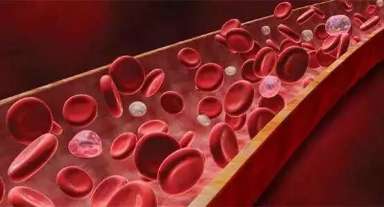 酵素给血管洗个澡，健康活到老