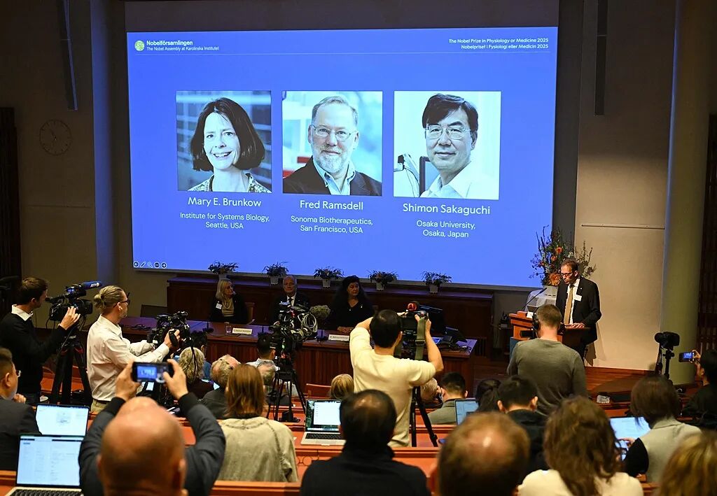科学家揭开免疫系统识别敌我谜团,2025首个诺贝尔奖，揭秘了...免疫系统“区分敌我”..