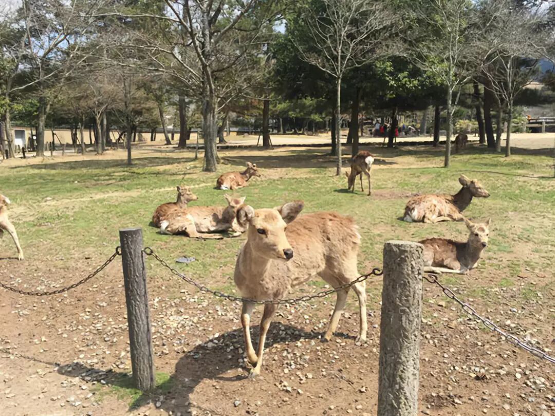 让孩子上蒙氏幼儿园_蒙氏班出来的孩子_不要让孩子上蒙氏班