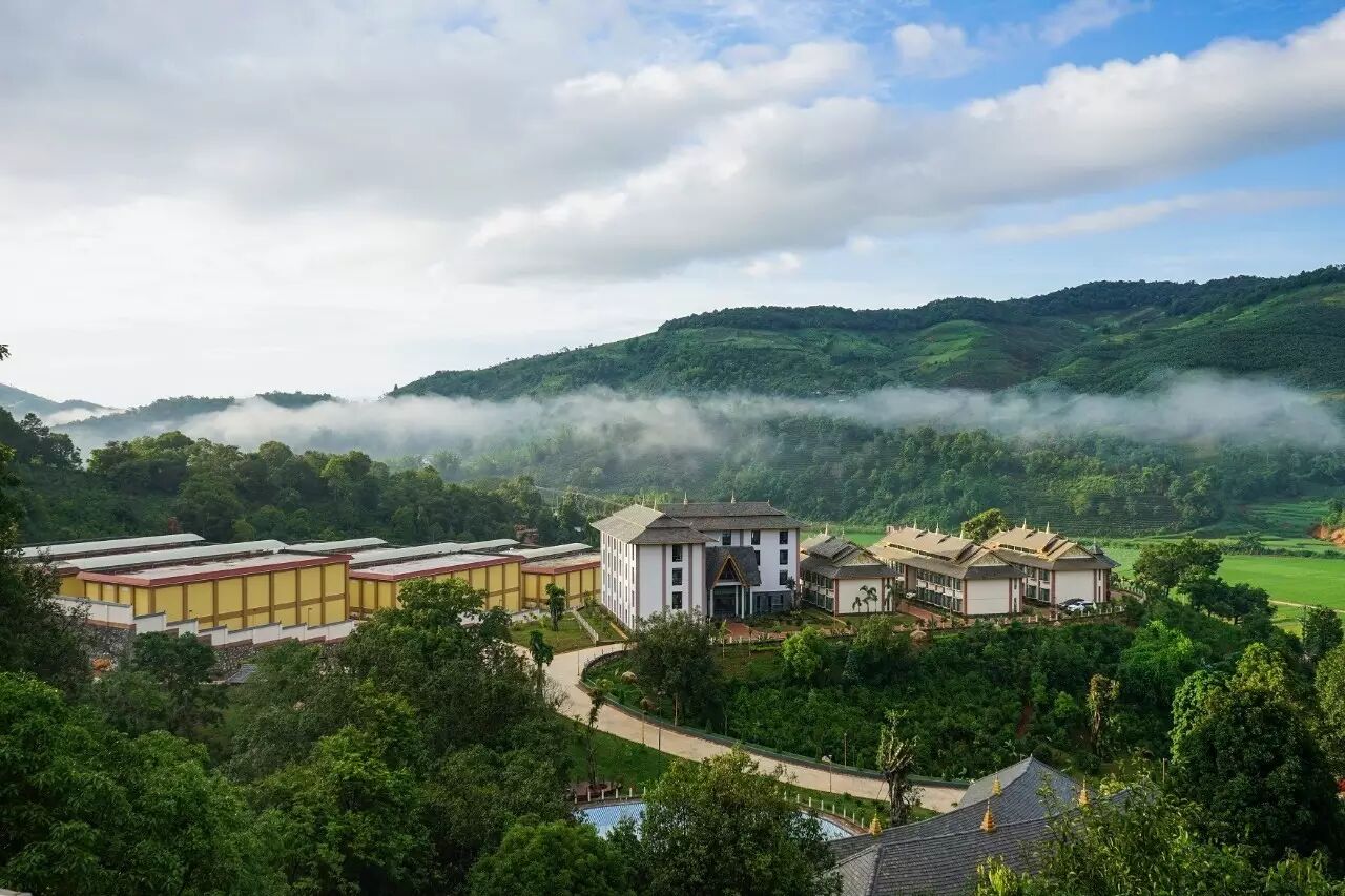 位于勐宋的雨林古茶坊