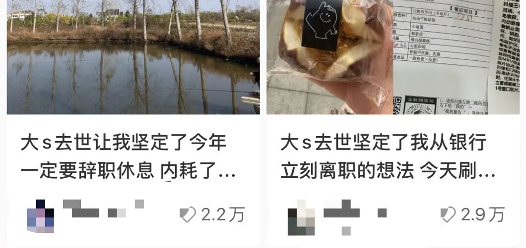 大S去世后，第一批辞职的人出现了