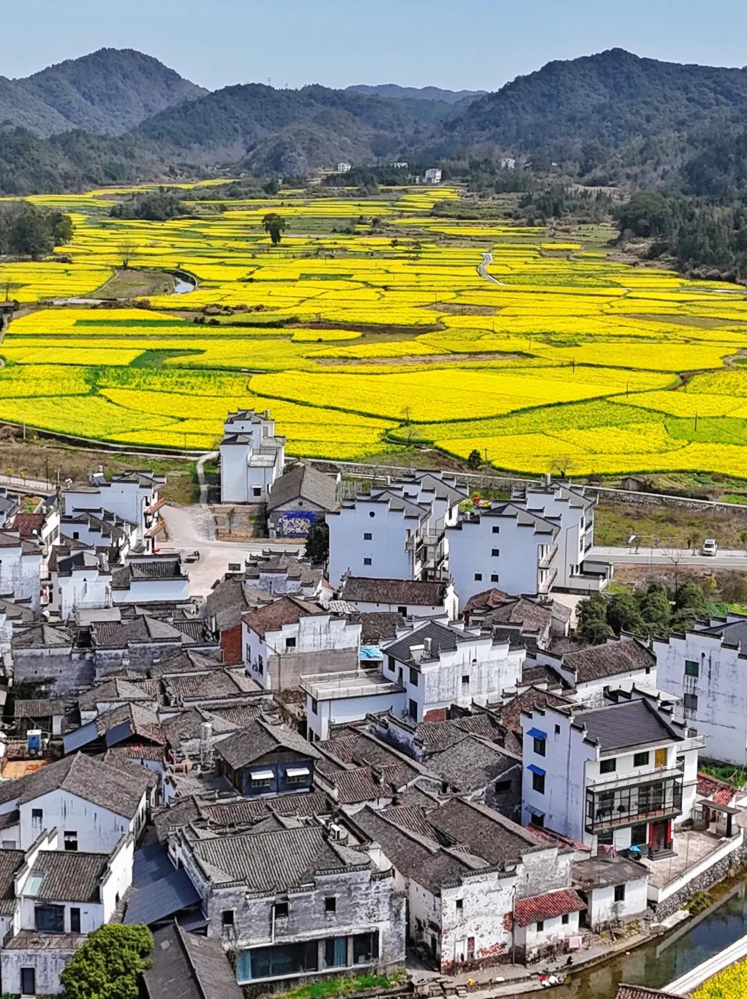 别去三亚挤了！清明拼假6天，我私藏的宝藏小城好吃到飞起，美到失语！