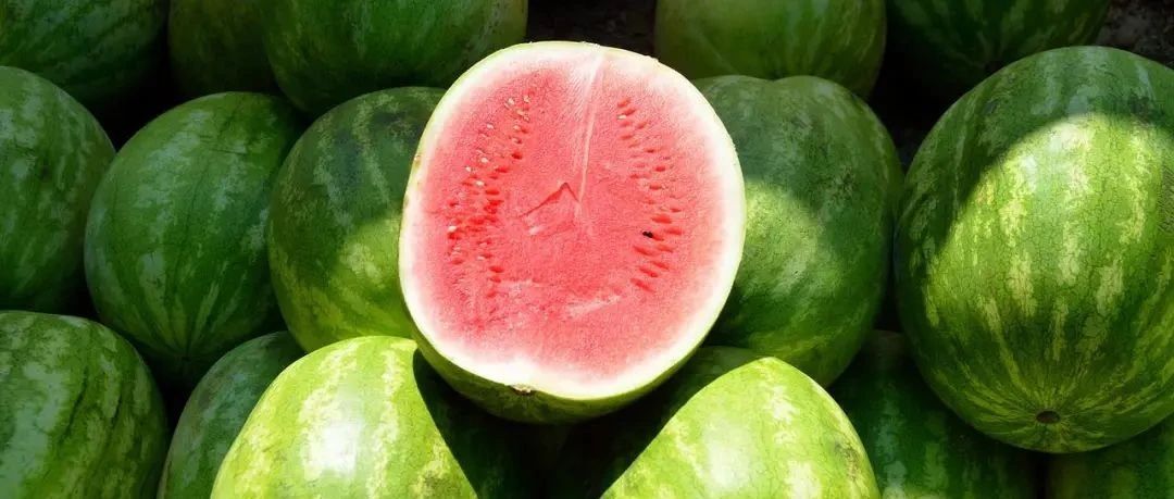 好好吃个西瓜，怎么就容易胖了？是糖分含量太高了吗？