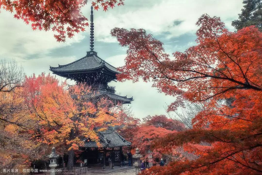 在红叶和寺庙中穿行 Eleven的旅行 微信公众号文章阅读 Wemp