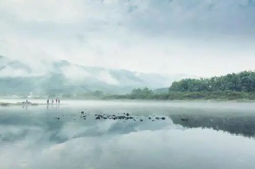 惊艳好听的中药名字，简直可以说是宛如在仙境之中了！