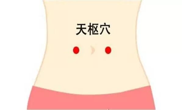 传统学术文化交流 自由微信 Freewechat