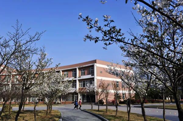 中国计量大学教务在线_中国计量大学校徽_中国计量大学学工系统