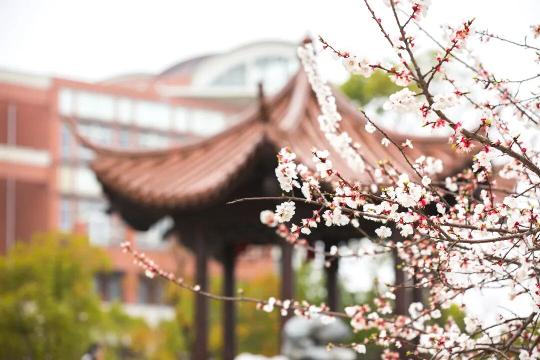 中国计量大学校徽_中国计量大学学工系统_中国计量大学教务在线