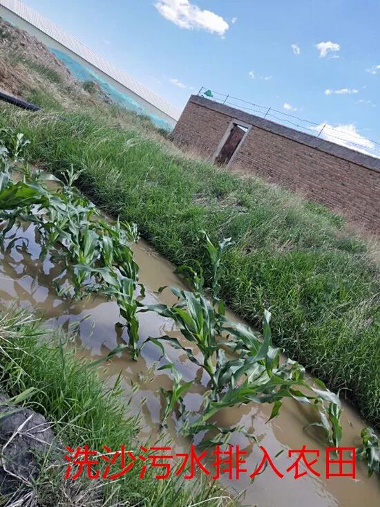 怎么可以错过（张家口哪里有河沙）张家口沙子出售，(图7)