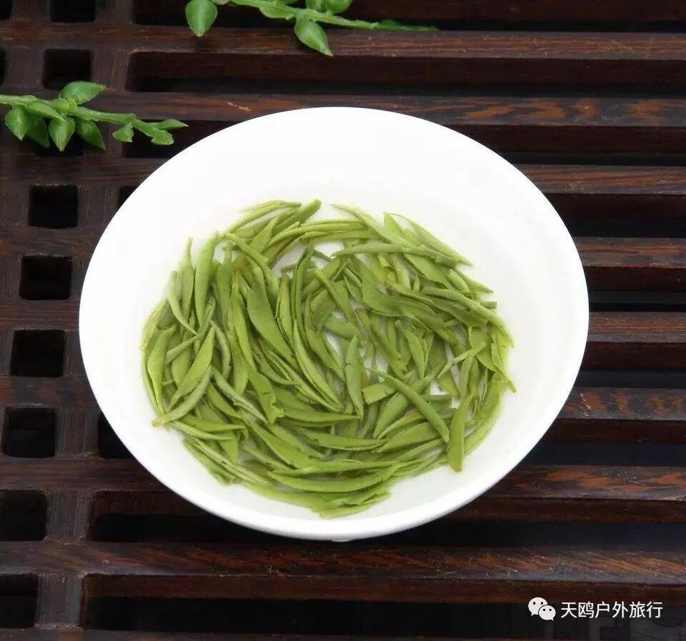 新县采茶,将军故里,西九华艳遇郁金香与梯田花海|广西优质茶叶交流组