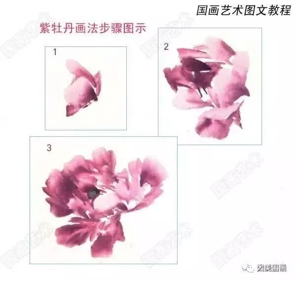 牡丹九大色系画法技巧 各色牡丹调色法 国画牡丹花的画法步骤 大美国画 微信公众号文章阅读 Wemp