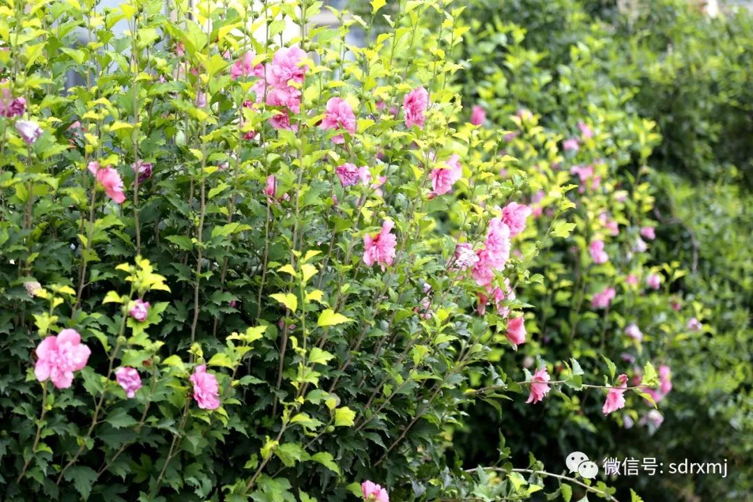 山东瑞祥试块