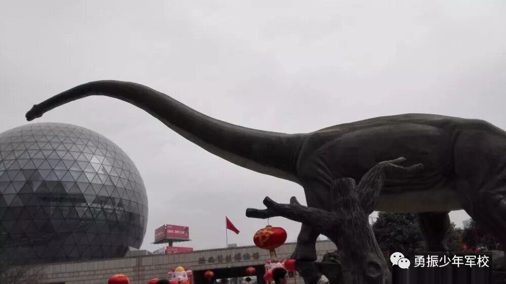 聆听历史，穿越千年 2018 -西安研学冬令营招募啦！|最新动态-河北勇振教育科技集团有限公司