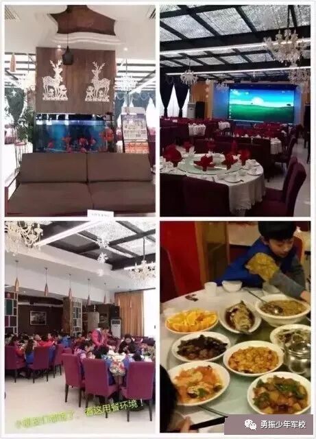 聆听历史，穿越千年 2018 -西安研学冬令营招募啦！|最新动态-河北勇振教育科技集团有限公司