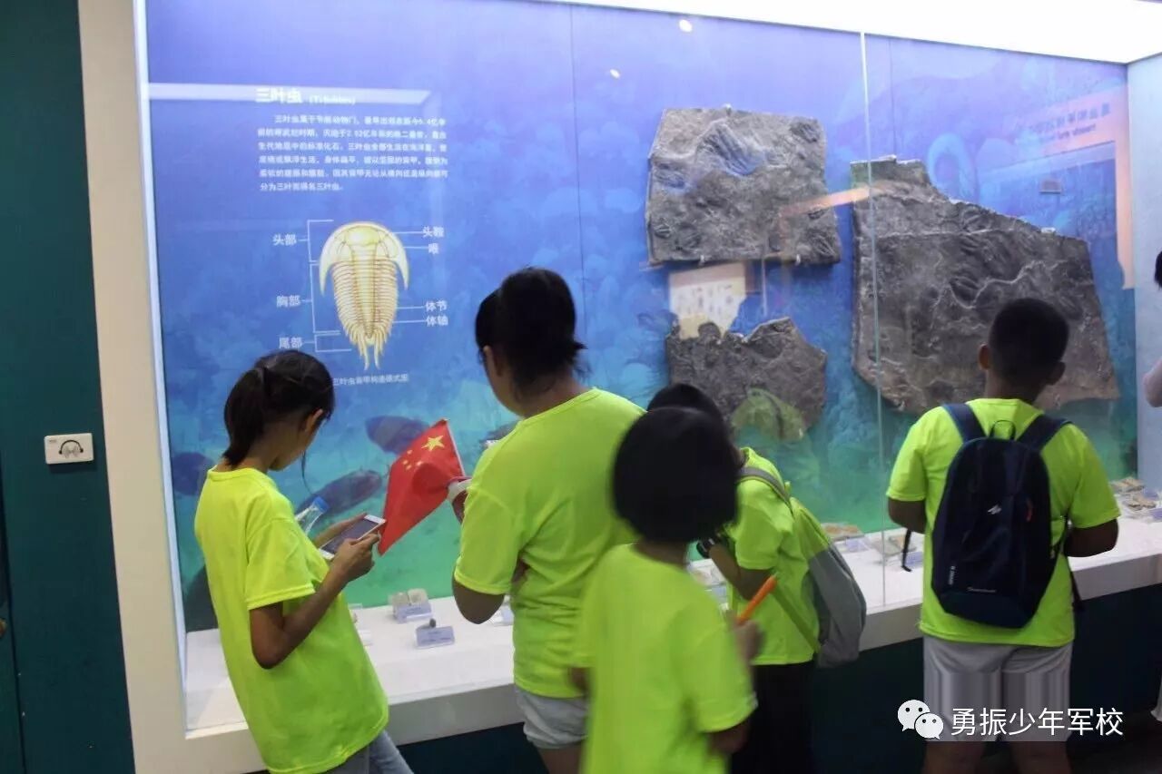 聆听历史，穿越千年 2018 -西安研学冬令营招募啦！|最新动态-河北勇振教育科技集团有限公司