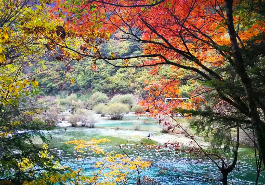 把湖泊森林草原看遍，它才是名副其实的秋景天花板！