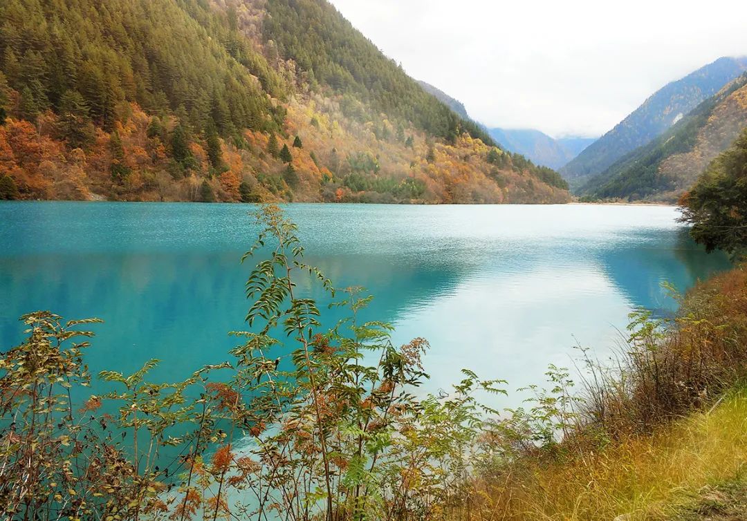 把湖泊森林草原看遍，它才是名副其实的秋景天花板！
